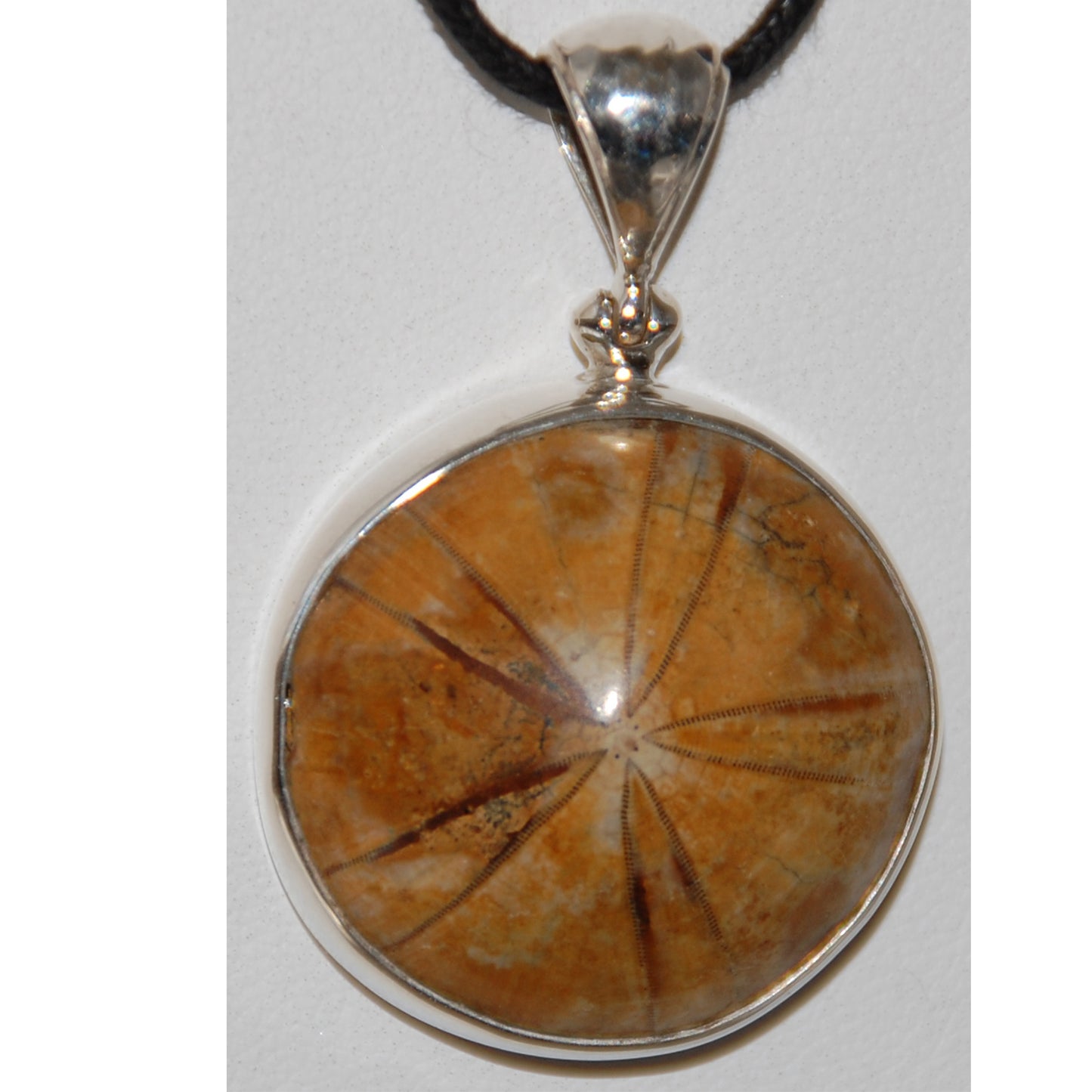 Sand Dollar Pendant