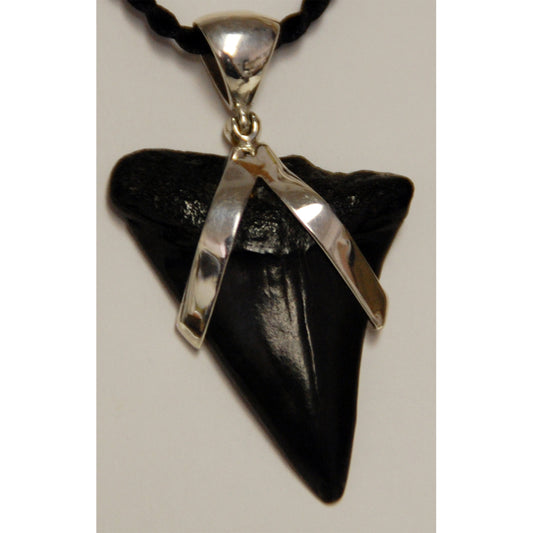 Shark Tooth Pendant