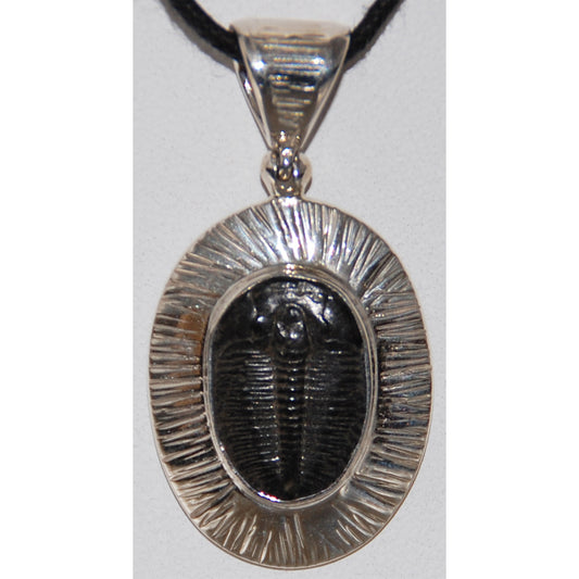 Trilobite Sterling Silver Pendant